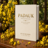 Padauk The National Folwer of Myanmar by Levi Sap Nei Thang