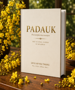Padauk The National Folwer of Myanmar by Levi Sap Nei Thang